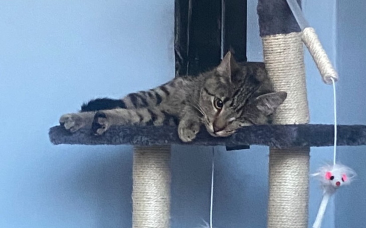 Zbiórka Walka o Jacusia - zdjęcie główne