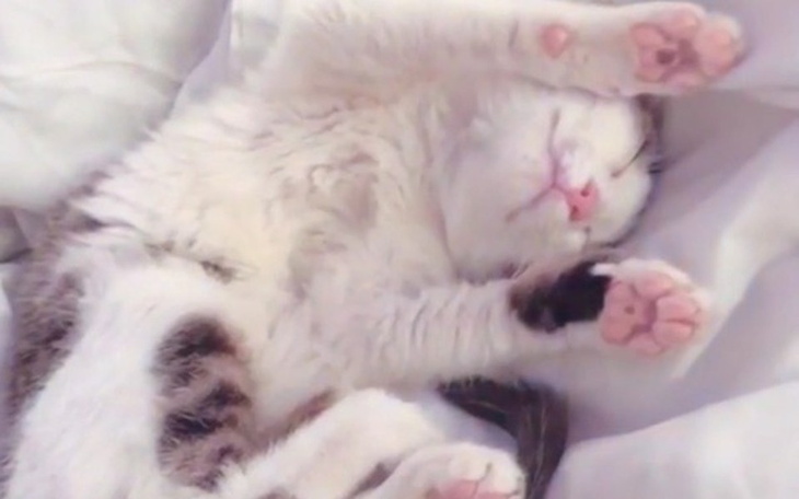 Zbiórka Leczenie Hope - zdjęcie główne