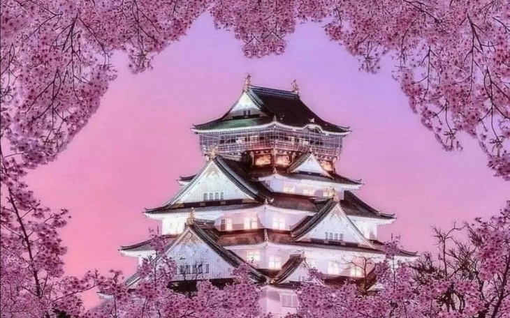 Zbiórka Wymarzona Japonia - zdjęcie główne