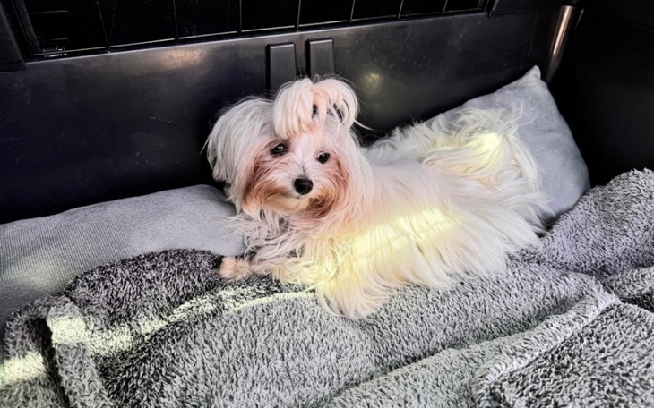 Zbiórka 6000 cena życia - zdjęcie główne