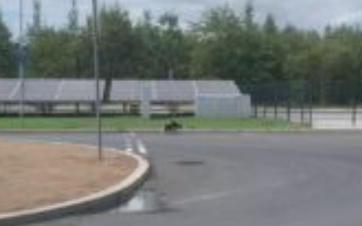 Zbiórka Pomoc dla bezdomnego pieska BK - zdjęcie główne