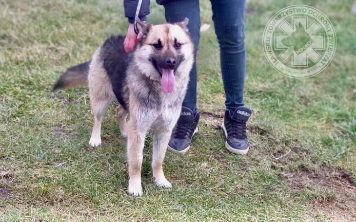 Zbiórka 450 km dzielące od szczęścia - zdjęcie główne