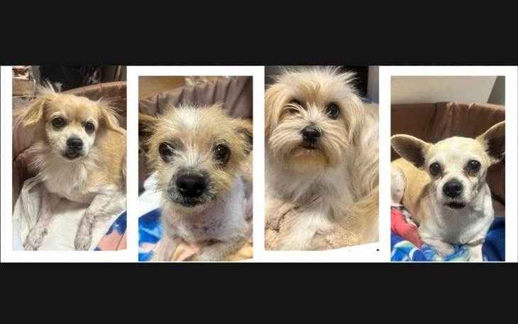 Zbiórka Stracić życie - podarować życie - zdjęcie główne