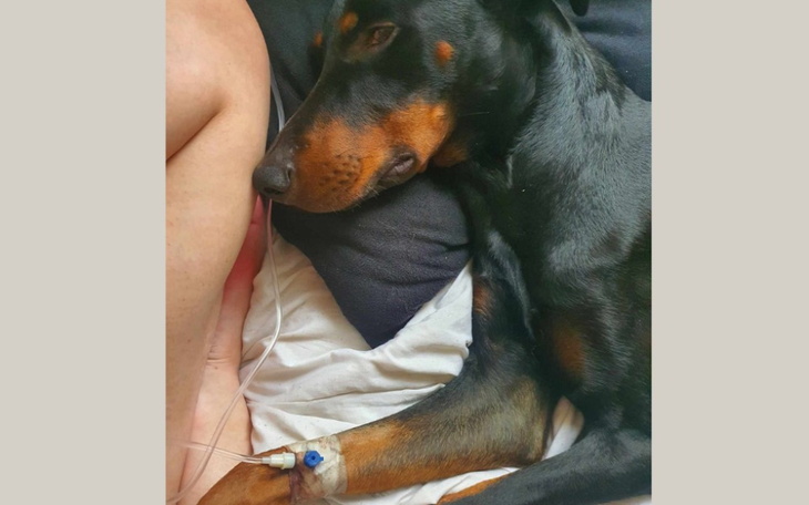 Zbiórka leczenie Irusia - zdjęcie główne