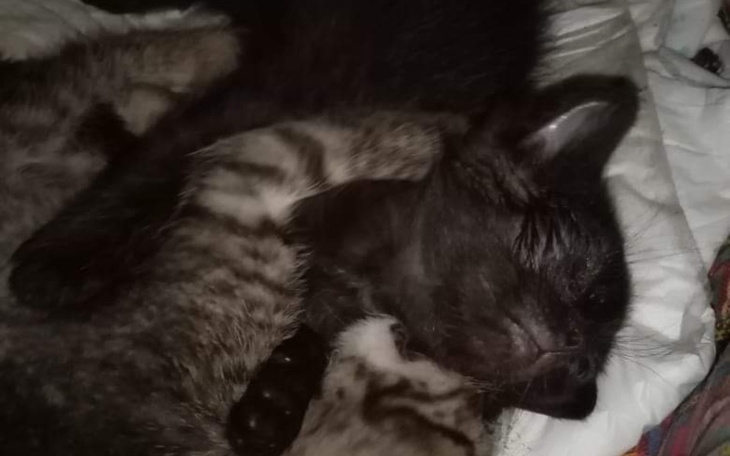 Zbiórka Nasza mama nie żyje. Pomóż nam - zdjęcie główne