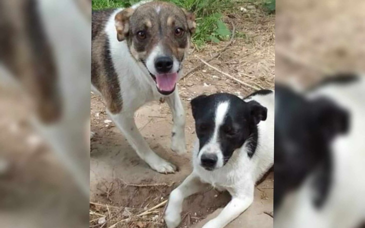 Zbiórka Mamy mało czasu, pilna pomoc - zdjęcie główne