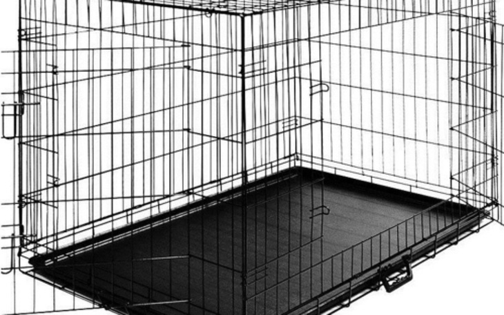 Zbiórka Klatki kennelowe dla DT. - zdjęcie główne