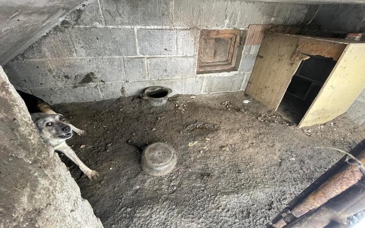 Zbiórka Zamarzająca Dżesi - zdjęcie główne