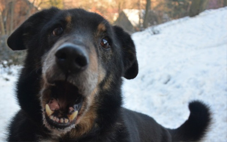 Zbiórka Dla Staruszka Piksela - zdjęcie główne