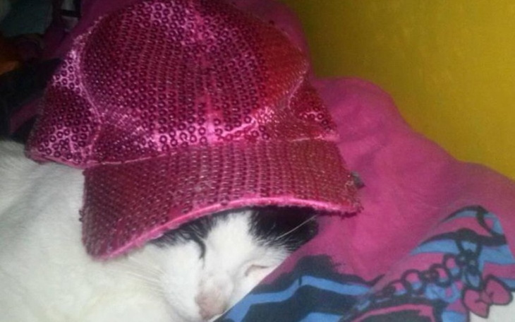 Zbiórka spelniaj marzenia dziecka - zdjęcie główne