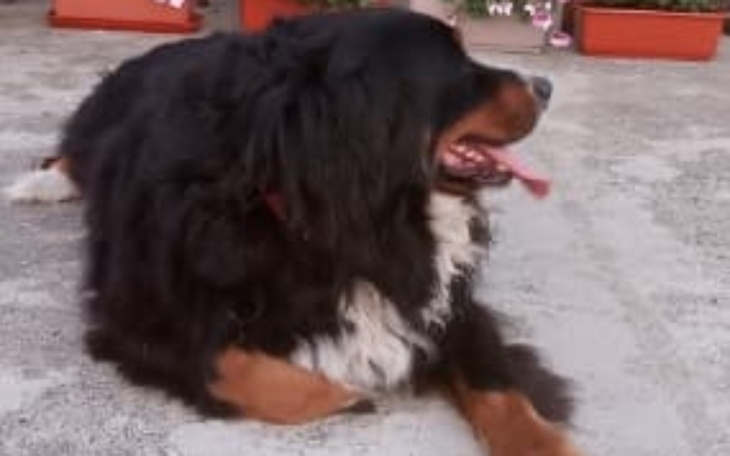 Zbiórka Operacja Azy - zdjęcie główne