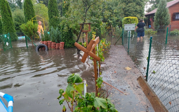 Zbiórka Naprawa swojego marzenia - zdjęcie główne
