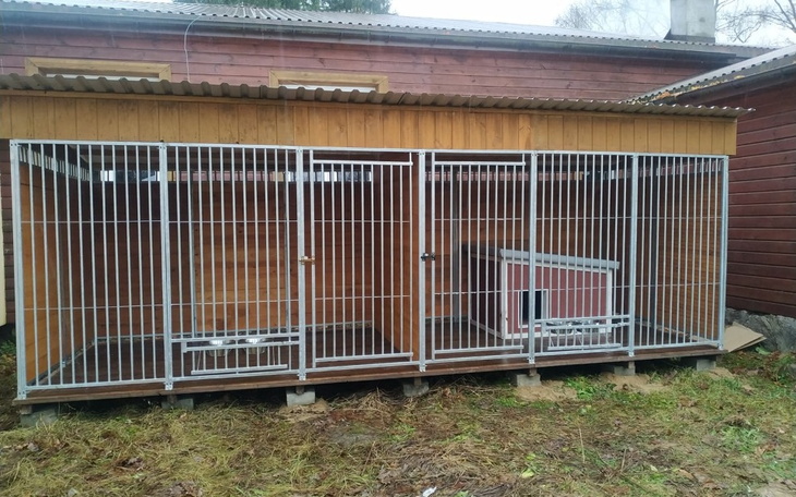 Zbiórka na zakup kojca - zdjęcie główne