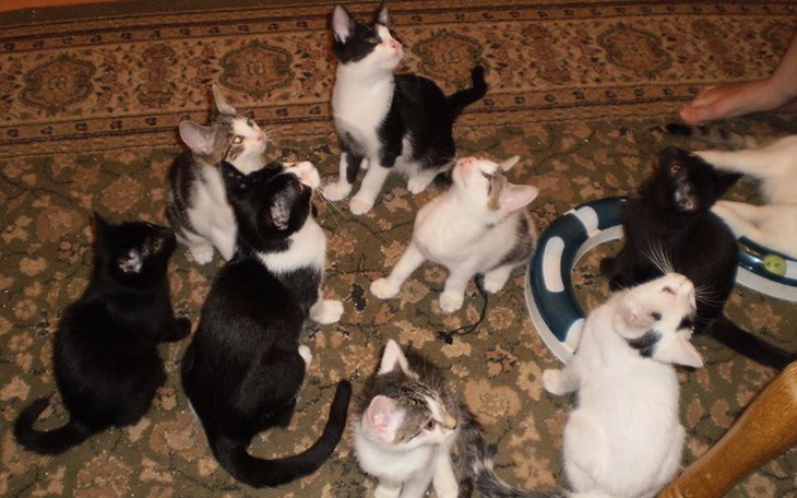 Zbiórka Nowe życie - lepszy start - zdjęcie główne