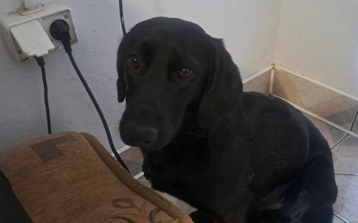 Zbiórka Biegł po życie uciekł śmierci - zdjęcie główne