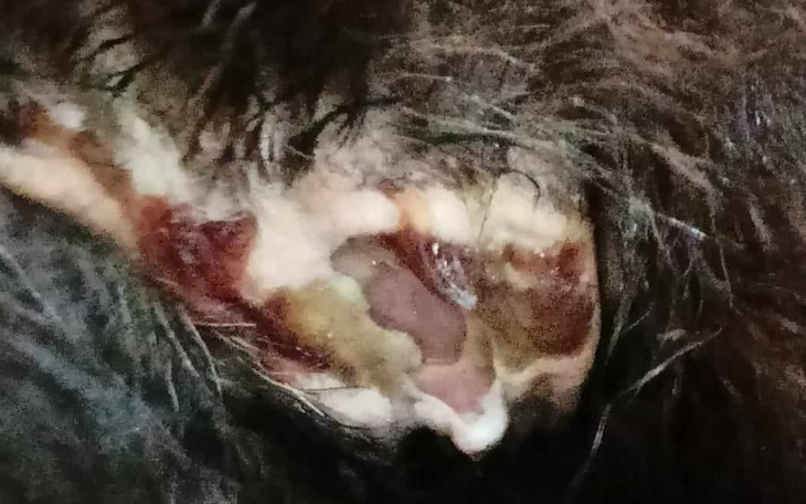 Zbiórka Zaległa faktura. - zdjęcie główne