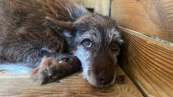 Zbiórka Jeden z Trzystu - Bezimienny - miniaturka zdjęcia