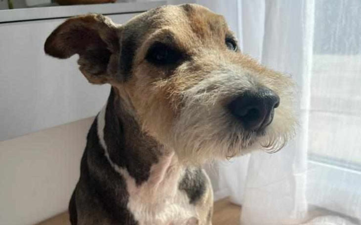 Zbiórka Nasz przyjaciel UMIERA - zdjęcie główne