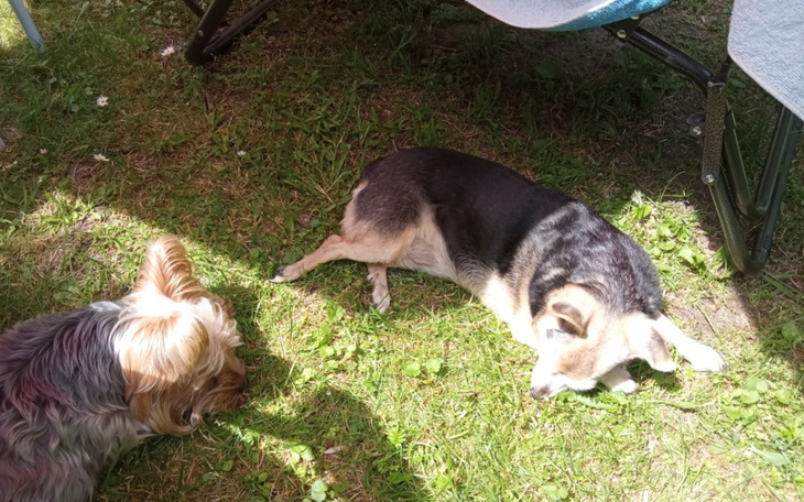 Zbiórka Na pierwszy domek - zdjęcie główne