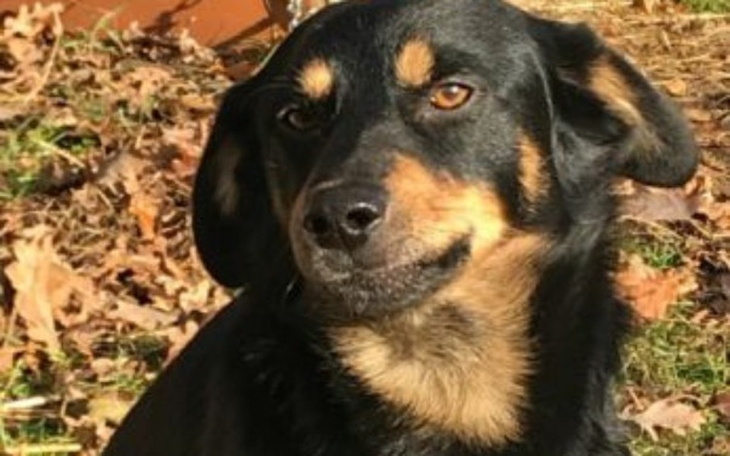 Zbiórka Dla bony - zdjęcie główne