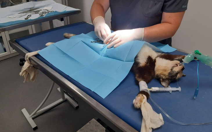 Zbiórka Walczymy o życie Beti - zdjęcie główne