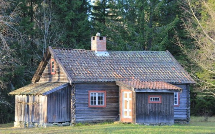 Zbiórka Dla starej Babci na życie - zdjęcie główne