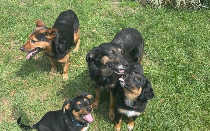 Zbiórka Uratowane z mordowani - zdjęcie główne