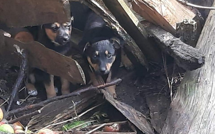 Zbiórka Nie odwracaj się od Nich - zdjęcie główne