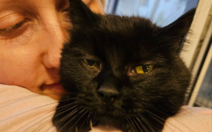 Zbiórka Pomóż uratować Nani - zdjęcie główne