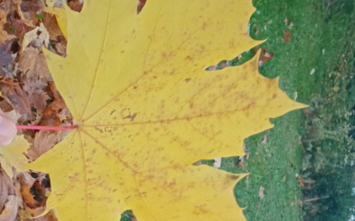 Zbiórka Zbiórka na zakupy żywność opłaty - zdjęcie główne