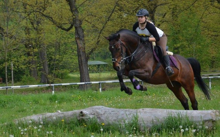 Zbiórka By mieć końskie zdrowie :) - zdjęcie główne