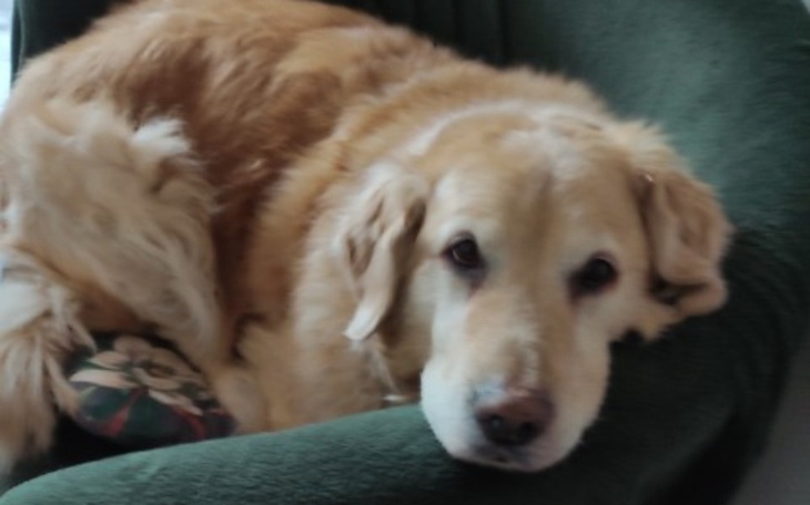 Zbiórka Bary prosi o pomoc - zdjęcie główne