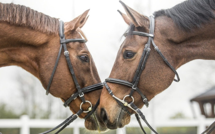 Zbiórka Zbieram na rozwój - zdjęcie główne