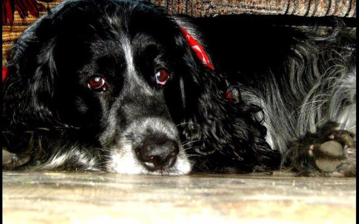 Zbiórka Ja chcę jeszcze żyć... - zdjęcie główne