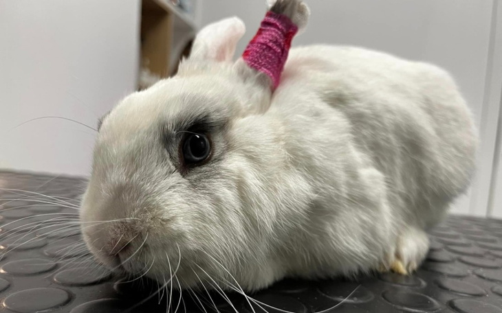 Zbiórka Gigantyczna faktura za leczenie - zdjęcie główne