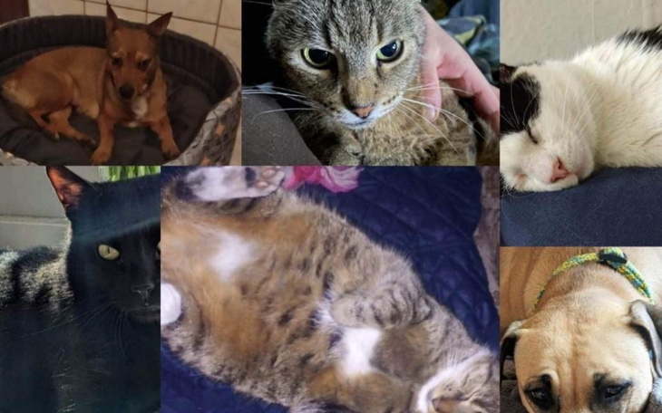 Zbiórka By nakarmić brzuszki - zdjęcie główne