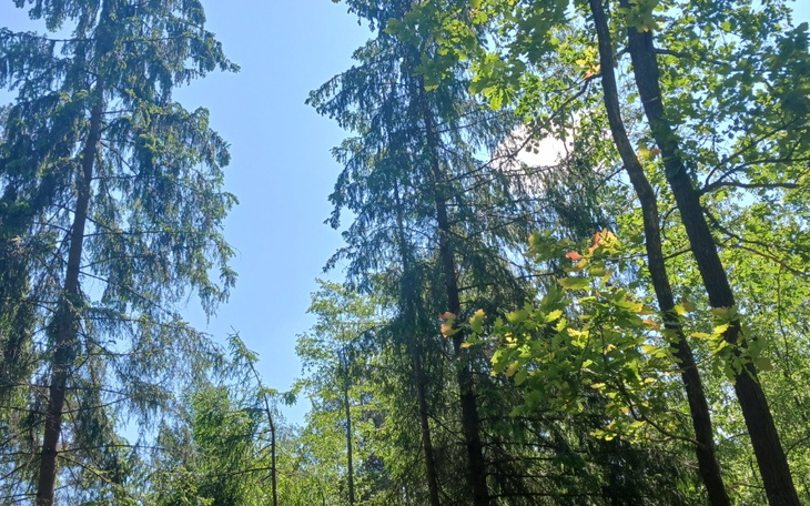 Zbiórka Czy pomożesz - zdjęcie główne