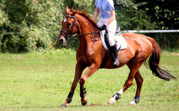 Zbiórka Blusa - operacja i leczenie - zdjęcie główne