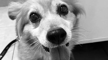 Zbiórka Rachunki Agatki (*) - miniaturka zdjęcia