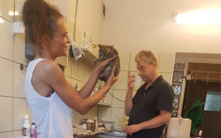 Zbiórka Na uratowane kociaki - zdjęcie główne