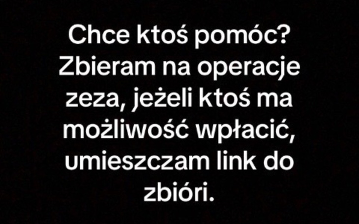 Zbiórka Najwiekszy kompleks-zez. - zdjęcie główne