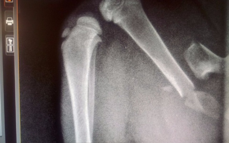 Zbiórka Złamana łapka Tusi - zdjęcie główne