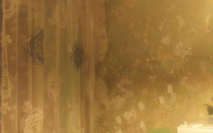 Zbiórka Nowy dom, i normalne życie - zdjęcie główne