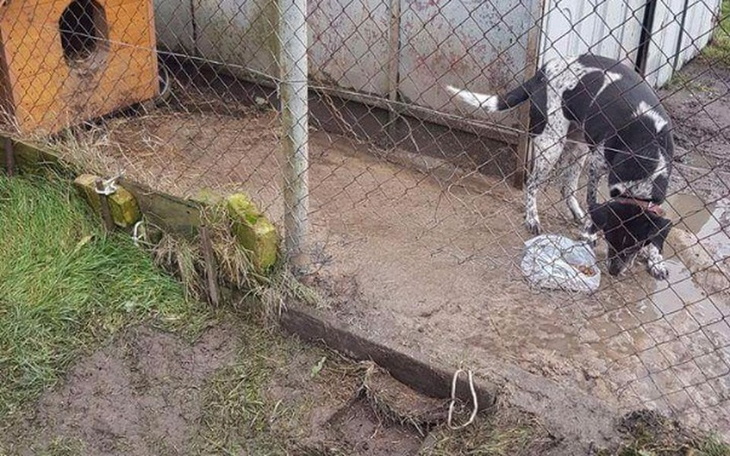 Zbiórka KOJEC dla wspaniałego staruszka - zdjęcie główne