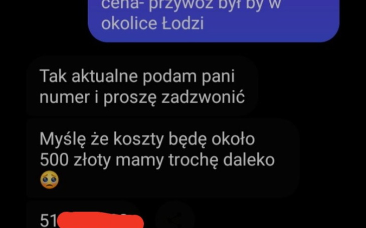 Zbiórka Przywóz zwierząt z Ukrainy - zdjęcie główne