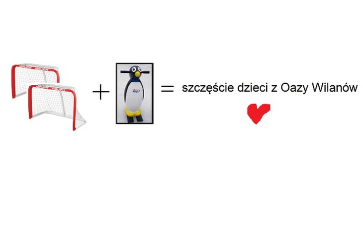 Zbiórka Zakup 2 bramek do hokeja+pingwin - zdjęcie główne