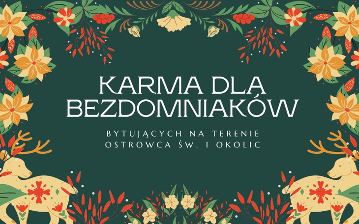Zbiórka Świąteczna karma dla bezdomniaka - zdjęcie główne
