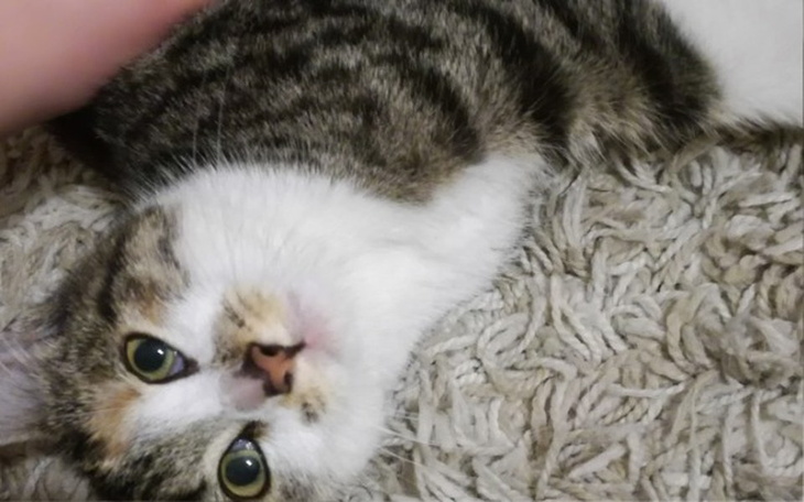 Zbiórka Hotel i leczenie. - zdjęcie główne