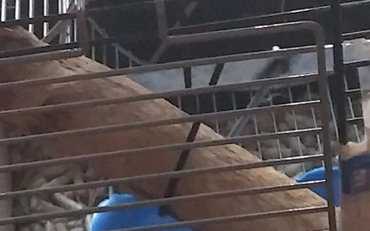 Zbiórka Poczebuje na nowa klatke dla zwi - zdjęcie główne