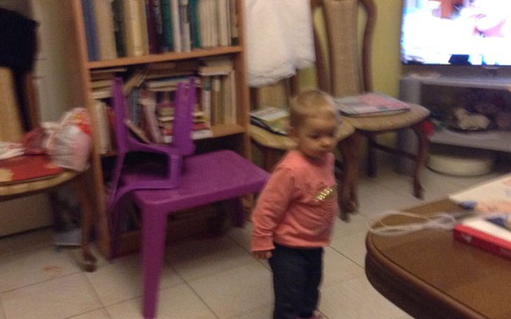 Zbiórka Piesek Maltańczyk dla dzieci - zdjęcie główne